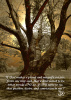 5x7 Print - God Tree